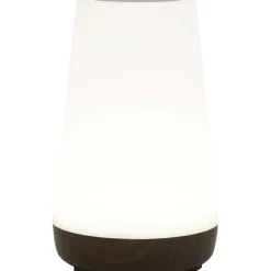 LSC Smart Connect Deluxa Touch Lamp Outlet