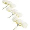 Merk Home Accents Decoratieve Rozen Geel,Rood,Roze,Wit Hot