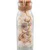 Merk Schelpen In Glazen Fles Meerkleurig New